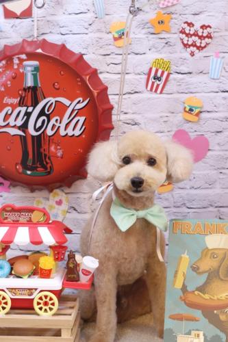 20230905モコくん